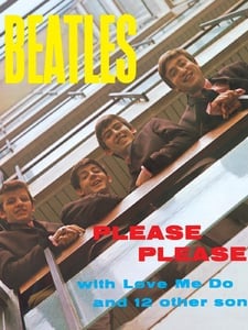 She Loves You Artwork