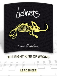 The Right Kind of Wrong Artwork