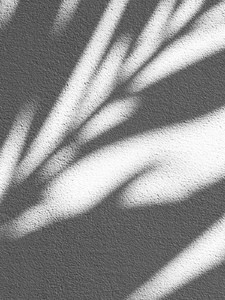 Four Musical Sketches for Piano: 1. A Patchwork Of Shadows Imagen de portada