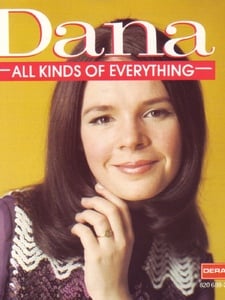 All Kinds Of Everything Copertina