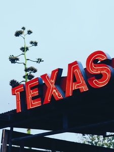 Texas Belle Imagen de portada