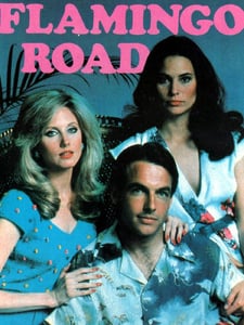 Flamingo Road Pochette