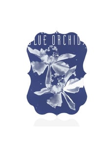 Blue Orchids Artwork