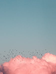 Inspiración Copertina