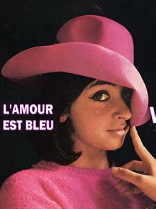L'Amour Est Bleu Artwork