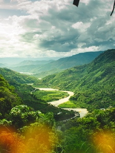 How Green Was My Valley Copertina