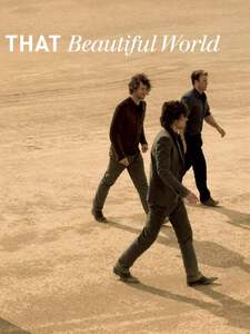 Beautiful World Pochette