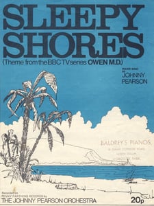 Sleepy Shores Artwork