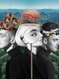 Should've Known Better Imagen de portada