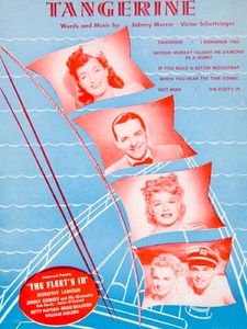 The Fleet's In Pochette