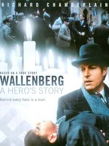 A Heroes Story (Wallenberg) Copertina