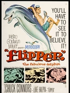 Flipper Imagen de portada