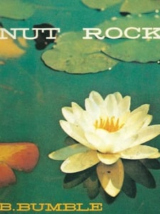 Nut Rocker Artwork