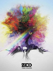 Illusion Artwork