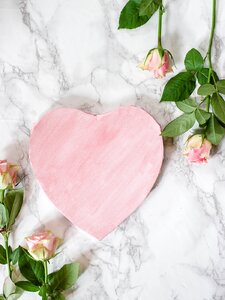 The Flower Of My Heart Artwork