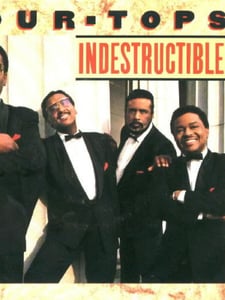 Indestructible Pochette