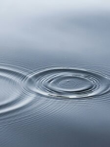 The Stillness of Water Copertina