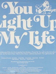 You Light Up My Life Imagen de portada