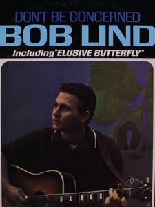 Elusive Butterfly Artwork