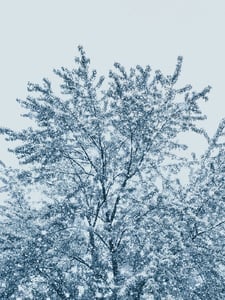 Let It Snow! Let It Snow! Let It Snow! Artwork