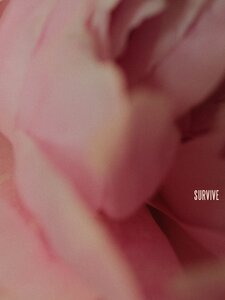 Survive Artwork