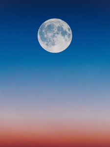 Blue Moonlight Copertina