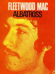 Albatross Artwork