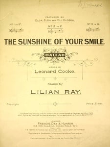 The Sunshine Of Your Smile Artwork