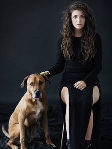 Royals Imagen de portada