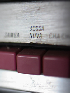 Bashanova Artwork