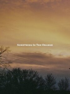 Something In The Orange Pochette