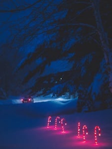 Driving Home For Christmas Imagen de portada