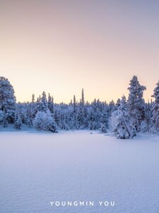 As White As Snow Artwork
