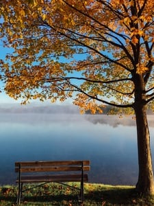 Autumn Serenade Copertina