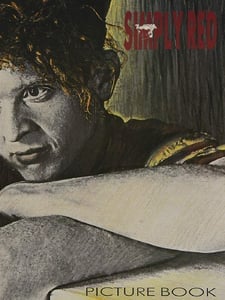 Holding Back The Years Artwork