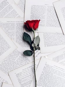 The Rose Artwork