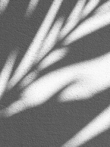 Four Musical Sketches for Piano: No. 2 Down Longford Way Artwork