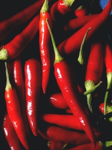 Red Hot Mama Copertina