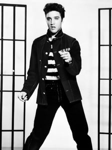 Jailhouse Rock Artwork