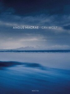 Cry Wolf Artwork