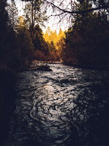 Black River Jawnie And High Water Lil Copertina