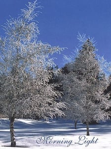 Silent Snow Artwork