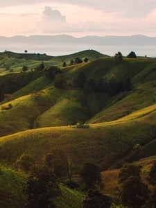 The Folding Hills Of Wondabyne Artwork