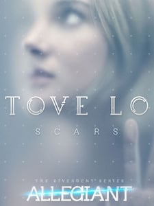 Scars Artwork