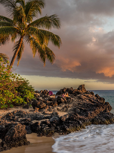 Honeymooning In Hawaii Copertina