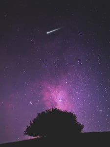 Stars Fell On Alabama Artwork