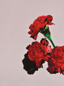 All Of Me Artwork