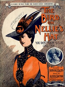 The Bird On Nellie's Hat Artwork