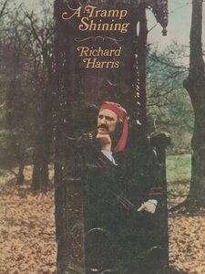 Didn't We? Copertina