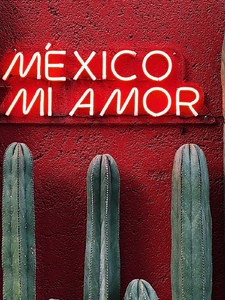 Song Of Mexico Artwork
